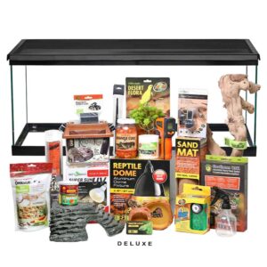 complete baby bearded dragon setup