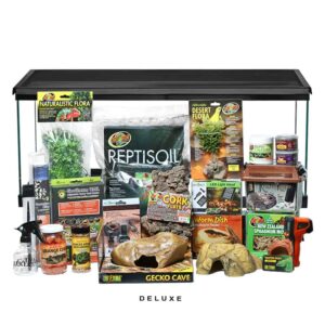 complete leopard gecko setup