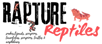 Rapture Reptiles